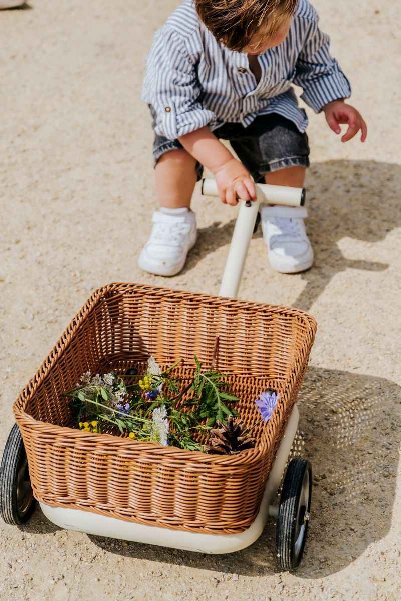 poiss veab Trybike wagon järelkäru milles lilled ja taimed